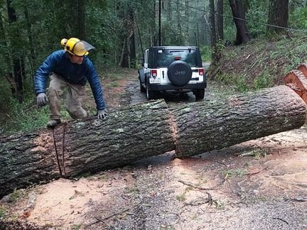 Cutting through the trees